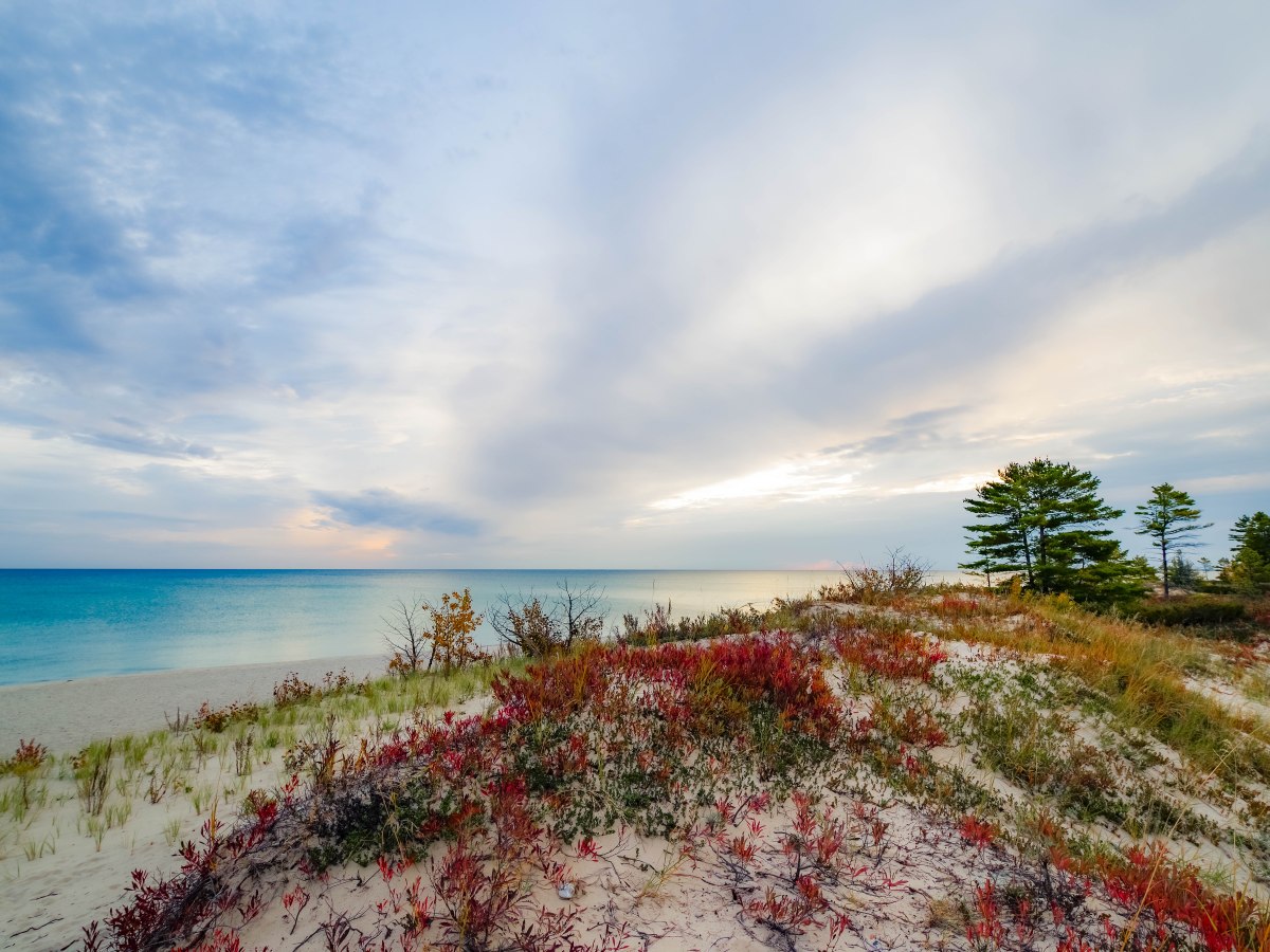 Epic Roadtrip Fall 22 (part&nbsp;1)